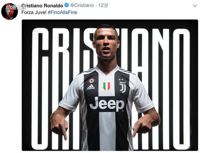 森林狼快速反击令对手难招架（森林狼闪电反击打得对手措手不及）